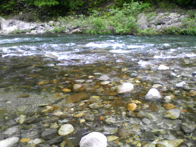 d0119443_8353883.jpg