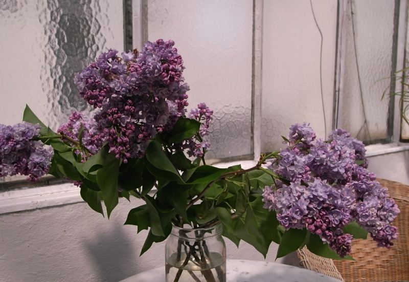 f0212143_722858.jpg