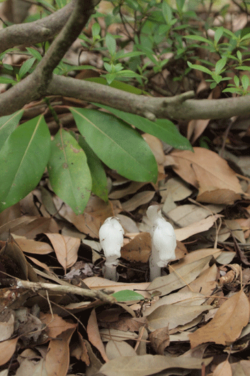 c0093046_741787.gif