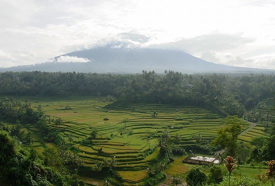 Mahagiri Panoramic Resort & Restaurant ～ レストラン編 ～_a0074049_139572.jpg