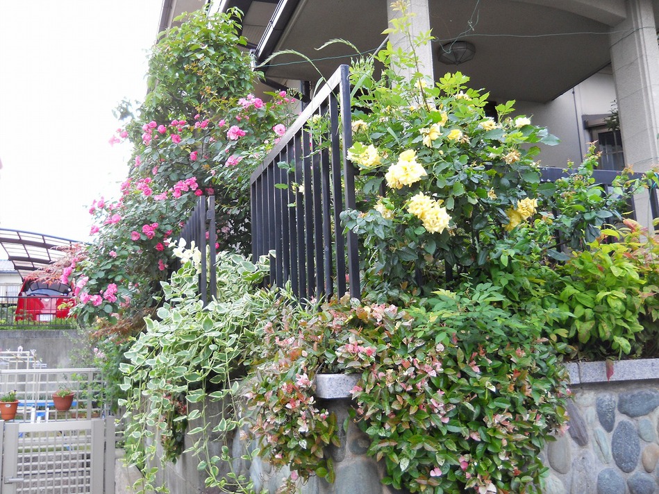 c0107149_6332675.jpg