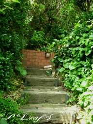 c0176651_21481318.gif