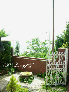 c0176651_21484967.gif