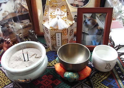 c0003752_014778.jpg