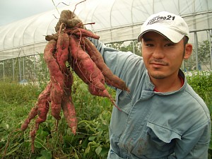 a0156857_0372515.jpg