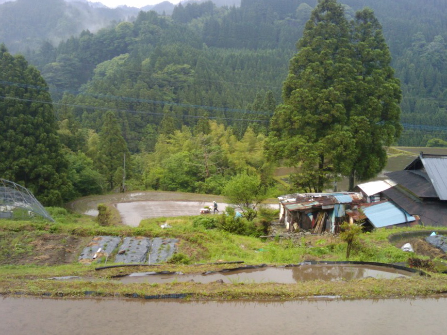 e0067358_17361096.jpg