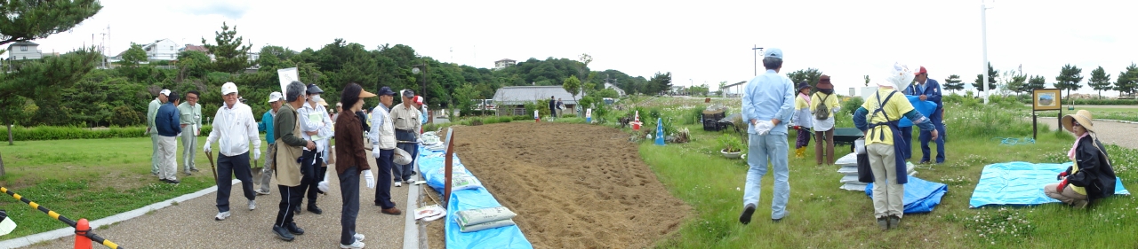 c0108460_2338232.jpg