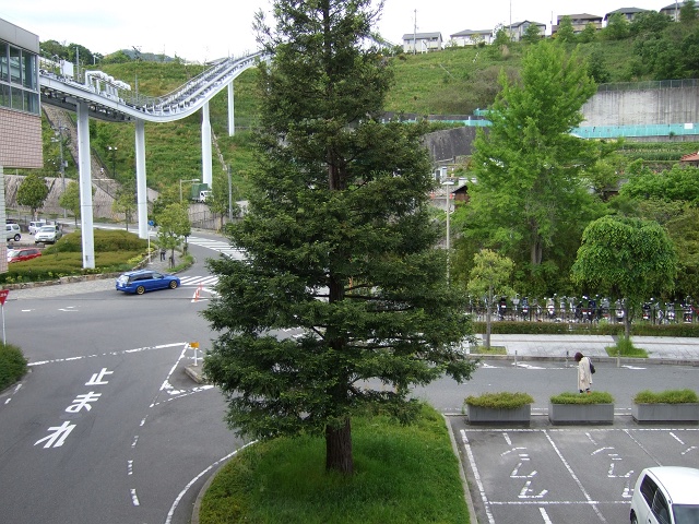 b0095061_9102328.jpg