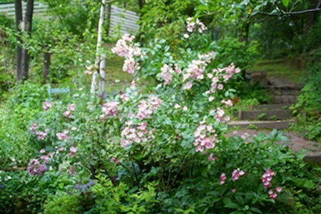 d0083761_20334630.jpg