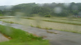 a0135162_1650812.jpg