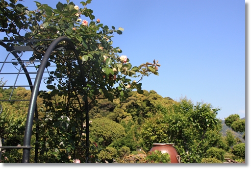 d0081464_2182979.jpg