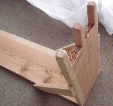 b0067569_16193717.jpg