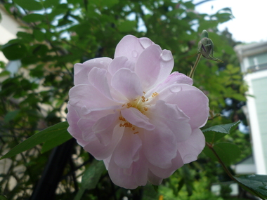 a0061973_9271386.jpg