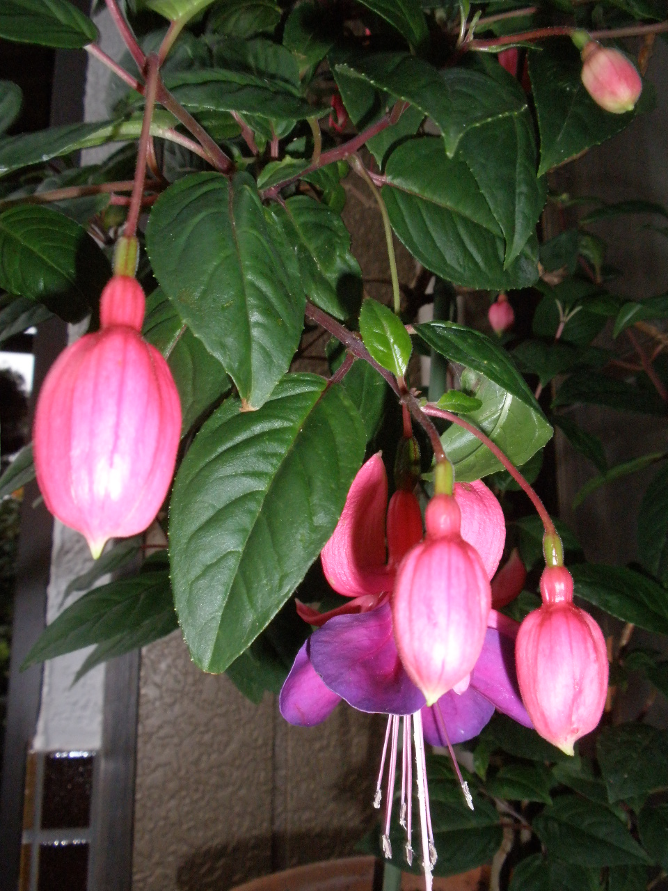b0157276_218272.jpg