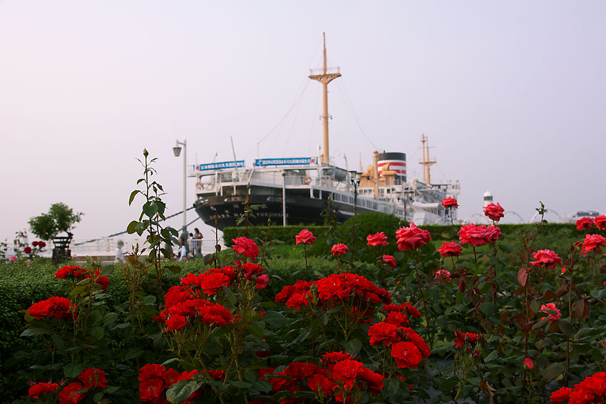 e0153076_2222144.jpg
