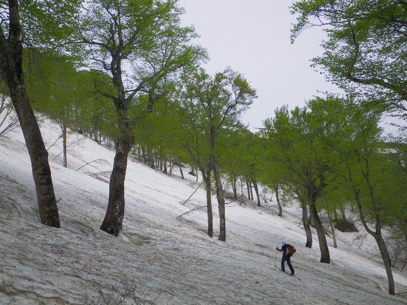 鳥海山（百宅口コース） ～ ２０１０年５月２３日_f0170180_1901167.jpg