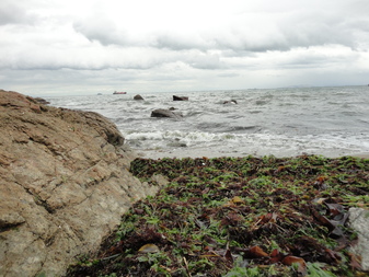 e0024081_1323136.jpg