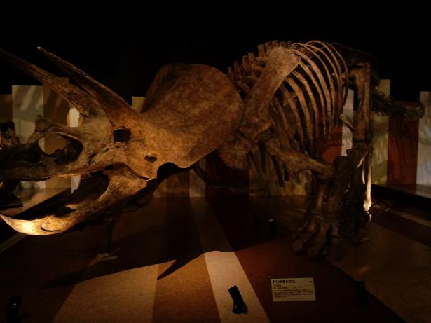e0131083_9849.jpg