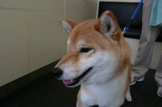 ドライブ日和?_b0098584_1831261.jpg