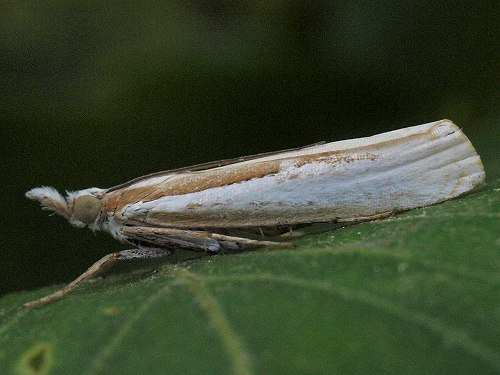 d0088184_17177.jpg