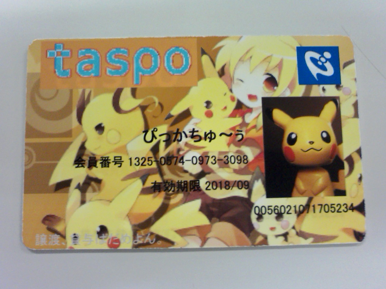 Taspo Cantom お散歩写真館 Taspo Cantom お散歩写真館