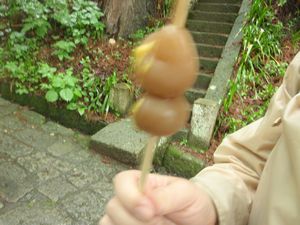 足をのばして山寺へ_a0096989_21312338.jpg