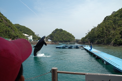 太地町くじら博物館→ホテル浦島_b0100489_5471974.jpg