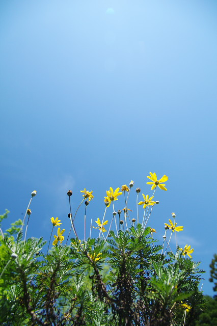 福岡市立動植物園 #2_d0160093_9161467.jpg