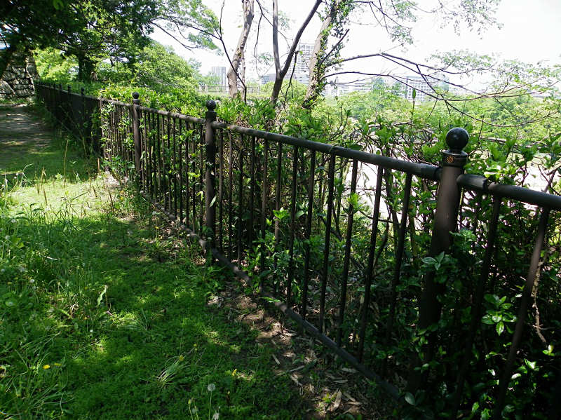 f0204094_20135318.jpg