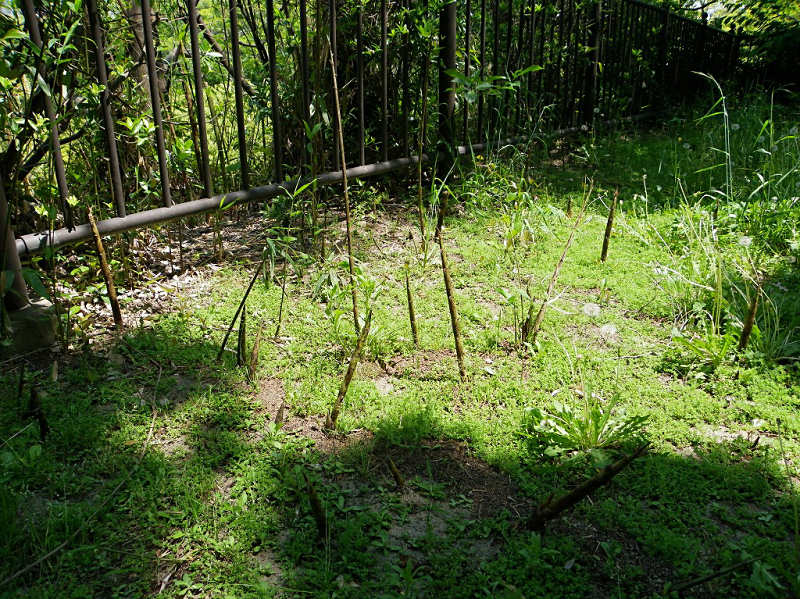 f0204094_20141845.jpg