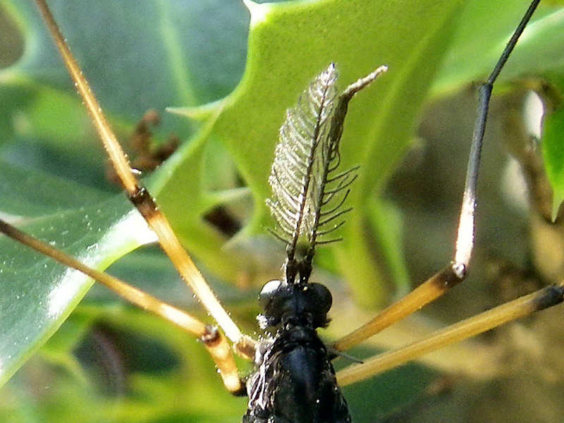 f0204094_20343741.jpg