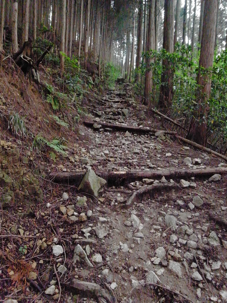 e0111396_01365.jpg