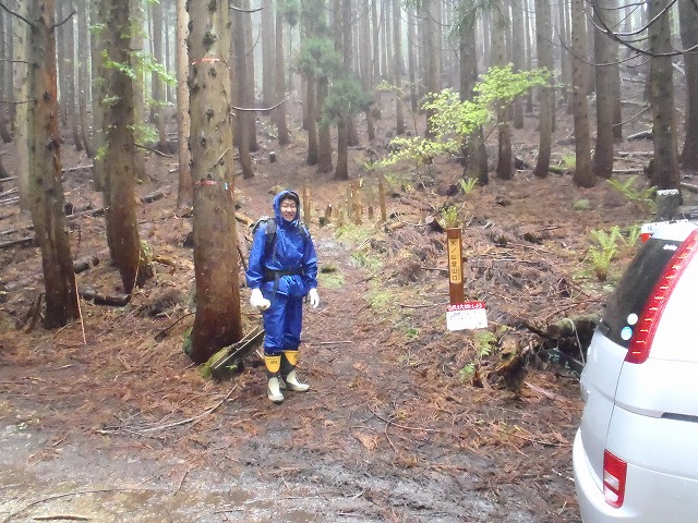恒例の氷ノ山スズコ(根曲がり竹)採り20100519_c0147398_1258648.jpg