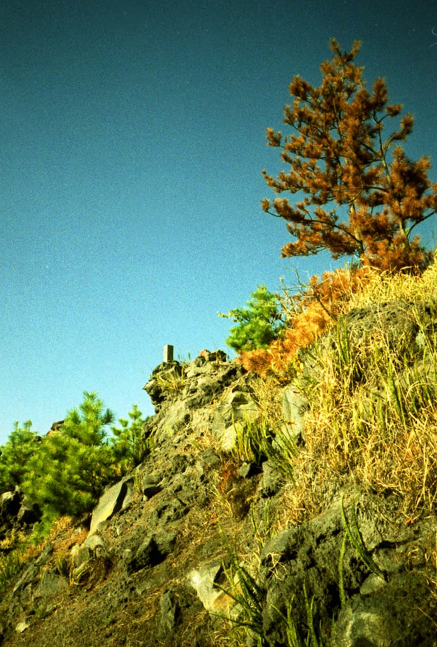 f0002998_1833381.jpg