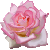 b0059000_23391112.gif