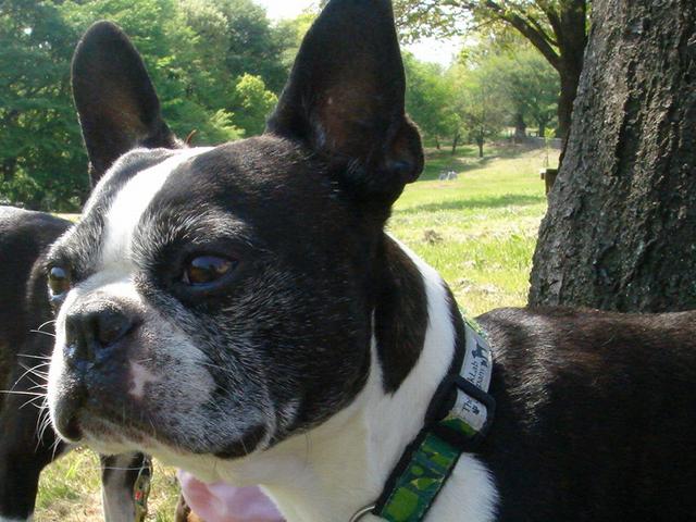 b0027203_1212363.jpg