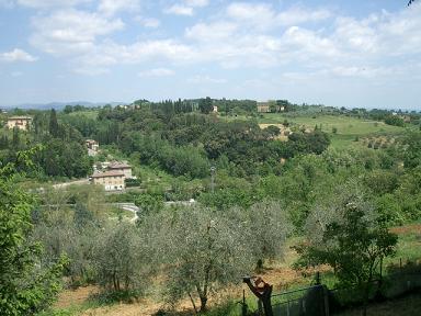 b0107003_12591818.jpg