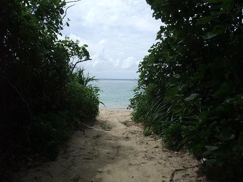 b0139303_176932.jpg