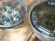 d0016003_16383531.jpg