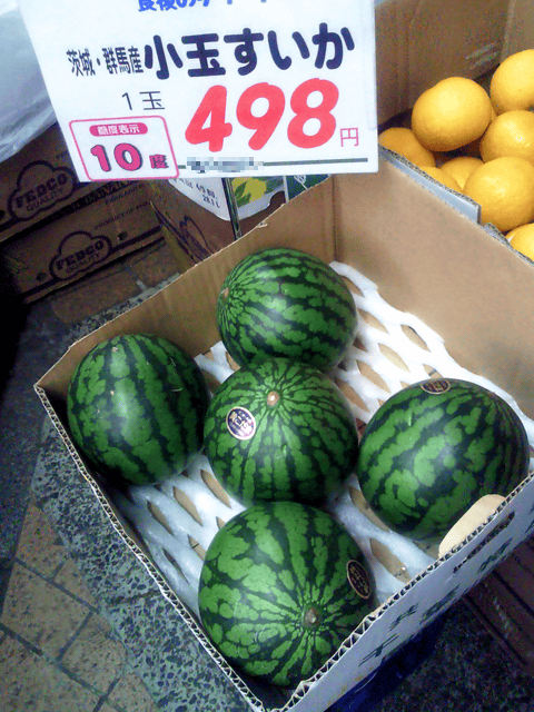 a0006605_0115184.gif