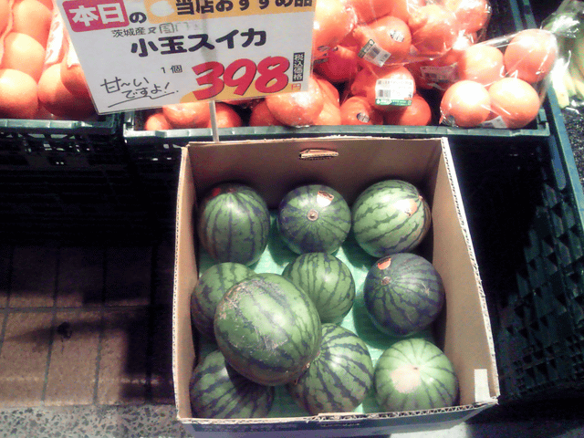 a0006605_0125651.gif