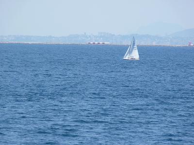 a0136808_123223.jpg