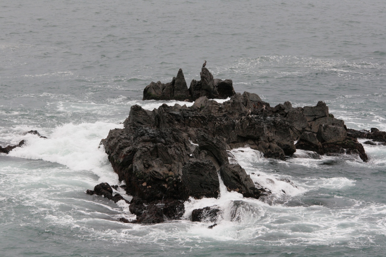 d0154708_2143382.jpg