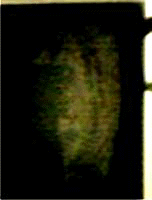 e0103408_1339778.gif