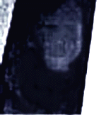 e0103408_13464423.gif