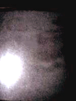 e0103408_1347247.gif