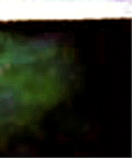 e0103408_1347970.gif