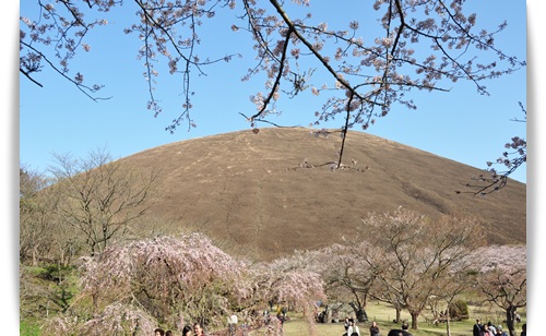 春の伊豆旅行～その２_c0065512_10533211.jpg