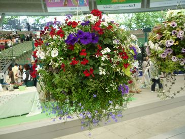 e0016412_09756.jpg