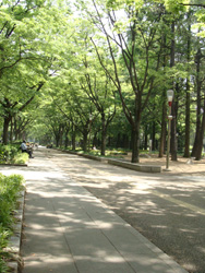 a0114816_19372744.jpg